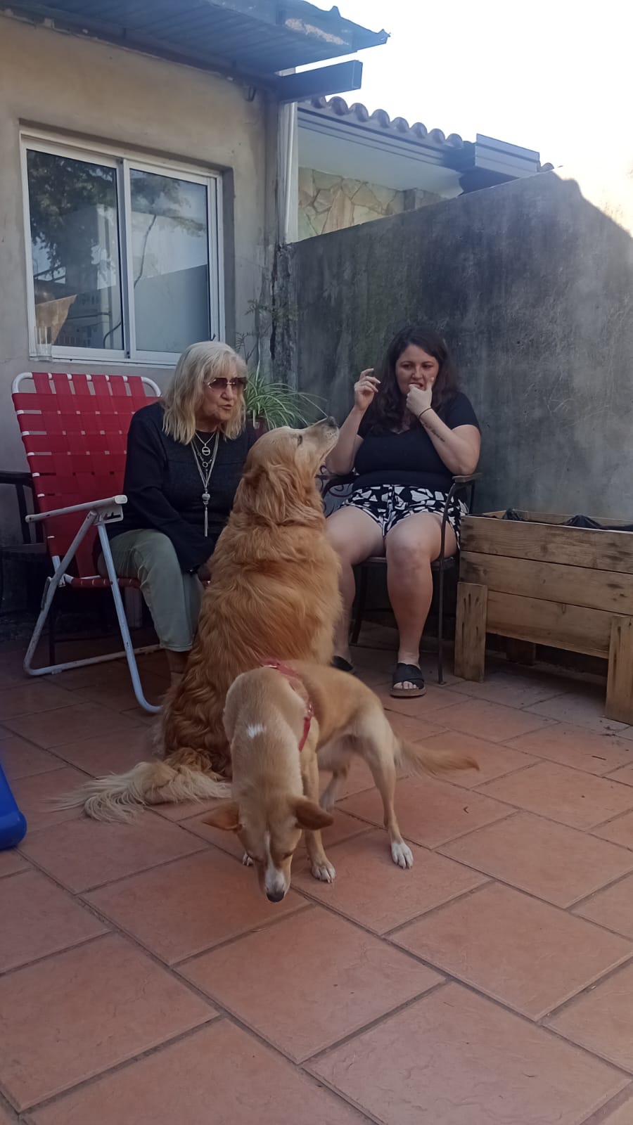 WhatsApp Image 2024-10-05 at 23.26.331.jpeg